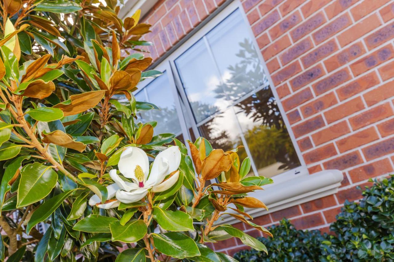 Sweet Magnolia 1 Or 2 Bedroom Suite St Kilda Cambridge With Complimentary Continental Breakfast Buitenkant foto